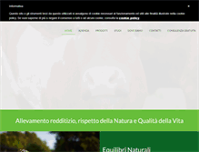 Tablet Screenshot of evoluzionesrl.net